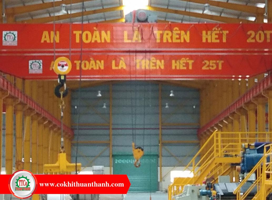 lắp đặt lắp đặt cầu trục loại chuẩn cho doanh nghiệp